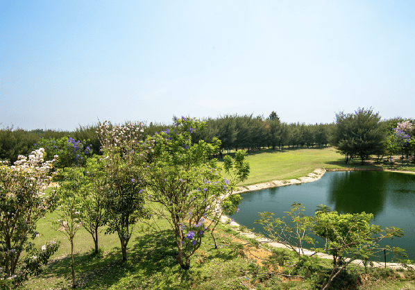 Boutique Land Developers in Bangalore