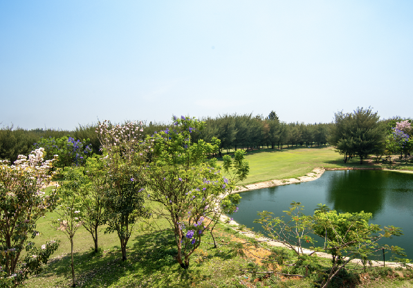 Boutique Land Developers in Bangalore